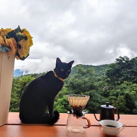 Terre Terrace Glamping - Doichang Ban Huai Khai Exteriör bild