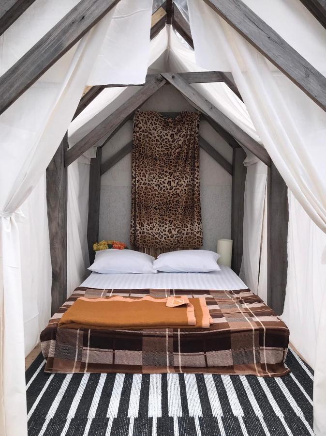 Terre Terrace Glamping - Doichang Ban Huai Khai Exteriör bild